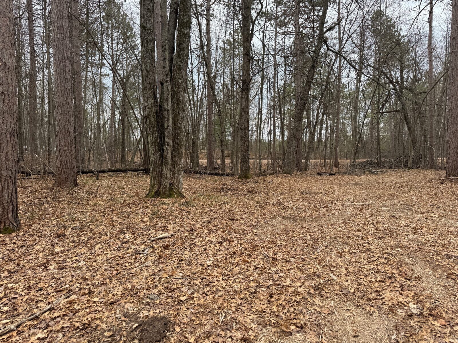 27846 290th Avenue, Holcombe, WI — photo 7