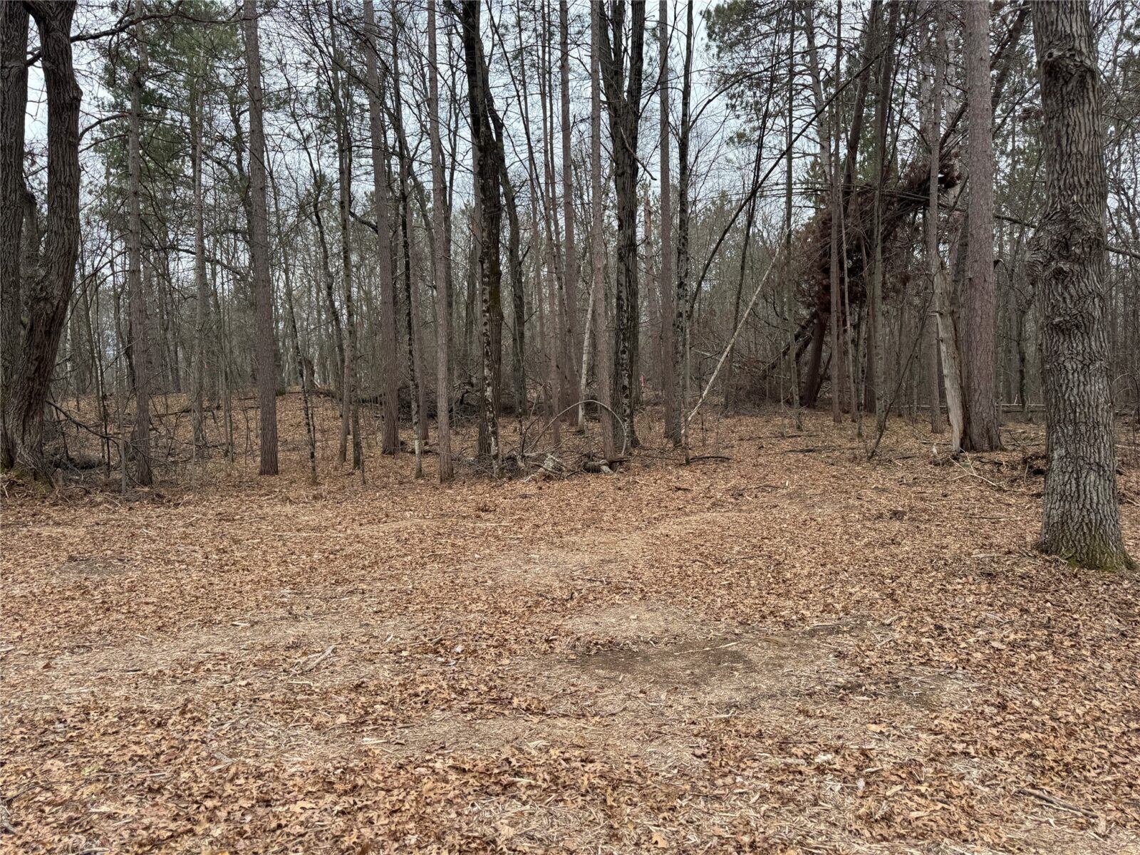 27846 290th Avenue, Holcombe, WI — photo 8