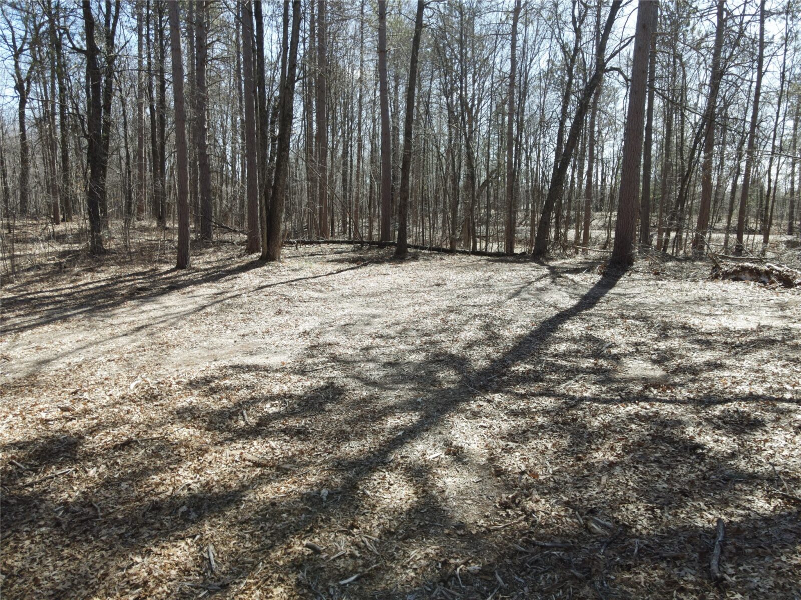 27846 290th Avenue, Holcombe, WI — photo 9