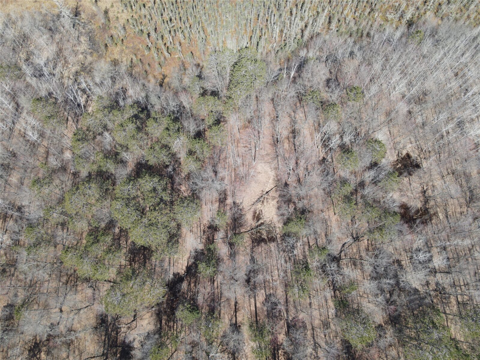 27846 290th Avenue, Holcombe, WI — photo 10