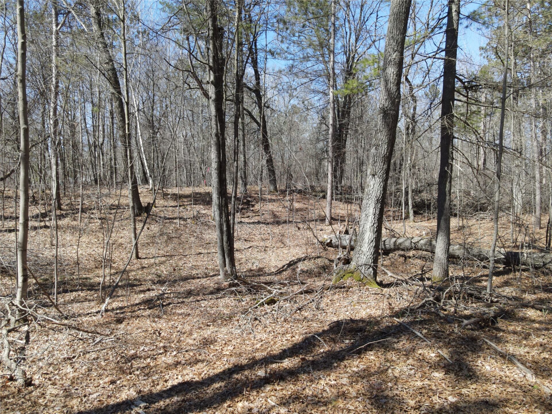 27846 290th Avenue Holcombe WI 54745