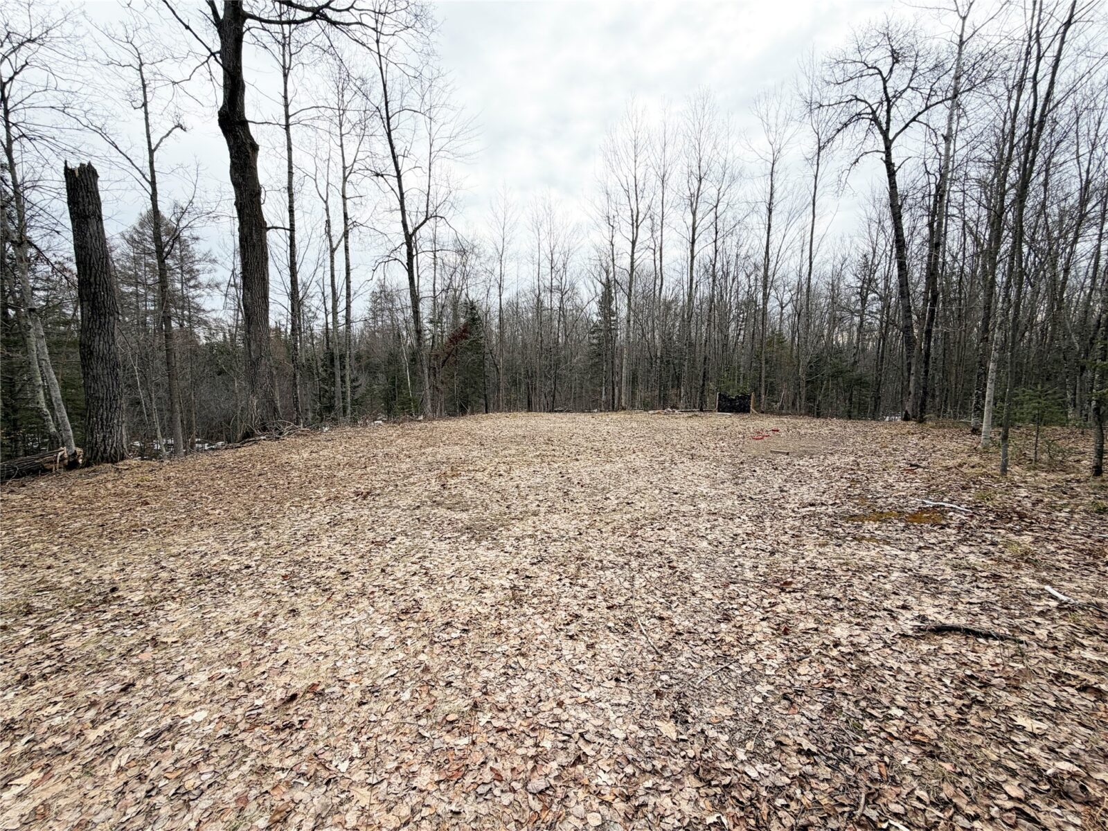 Residential at 2861 29 7/16 Avenue, Birchwood, WI 54817 — photo 2