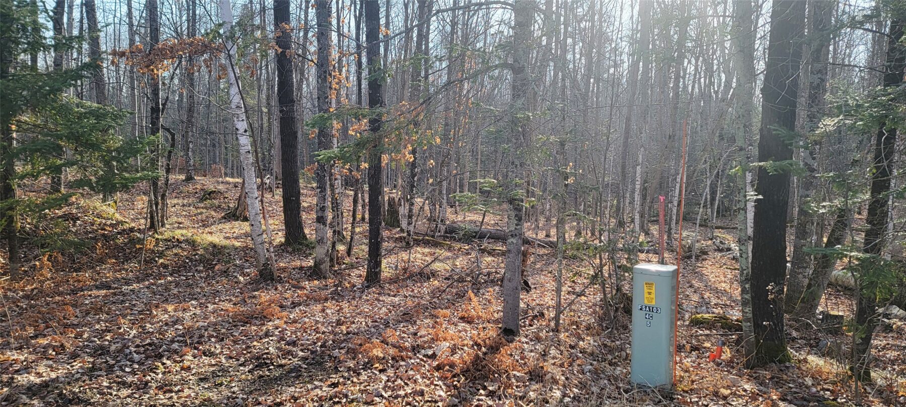 Residential at 2861 29 7/16 Avenue, Birchwood, WI 54817 — photo 11