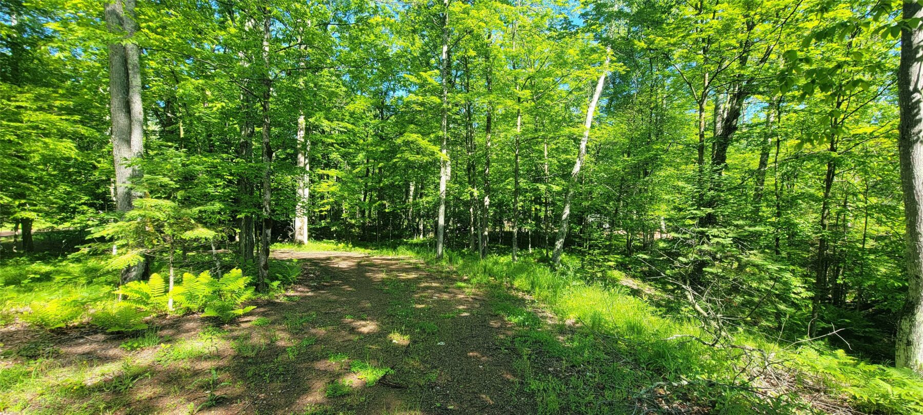 Residential at 2861 29 7/16 Avenue, Birchwood, WI 54817 — photo 14