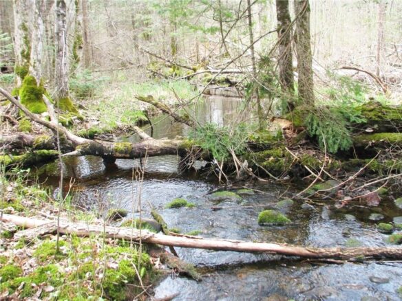 Residential at 2861 29 7/16 Avenue, Birchwood, WI 54817 — photo 1