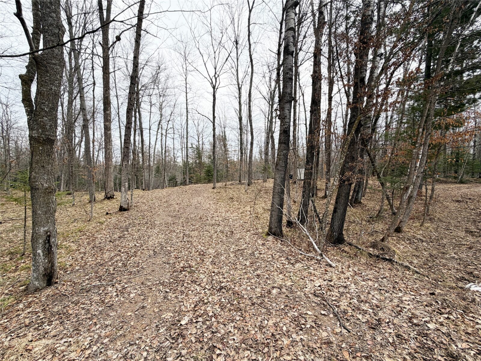 Residential at 2861 29 7/16 Avenue, Birchwood, WI 54817 — photo 8