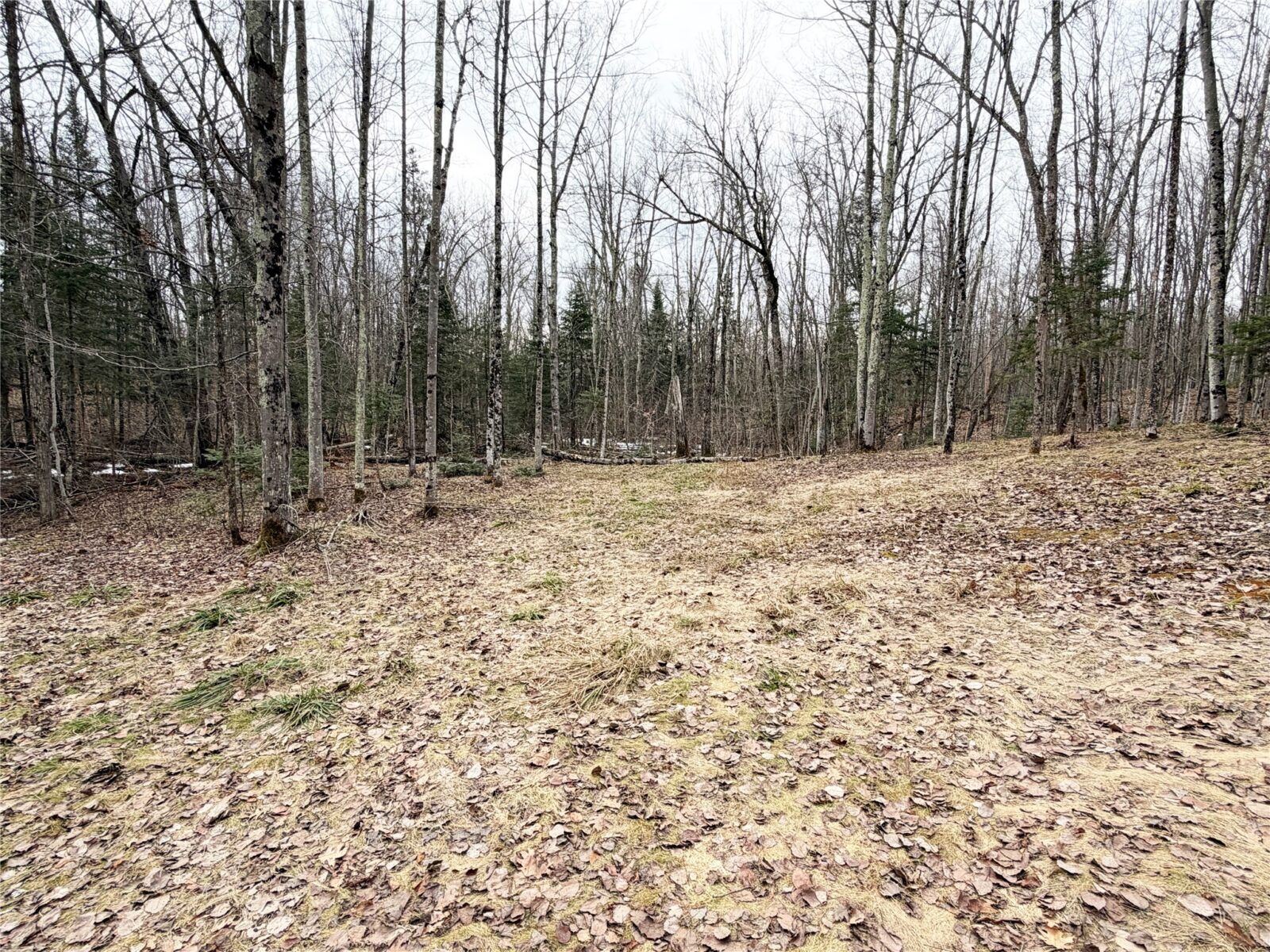 Residential at 2861 29 7/16 Avenue, Birchwood, WI 54817 — photo 10