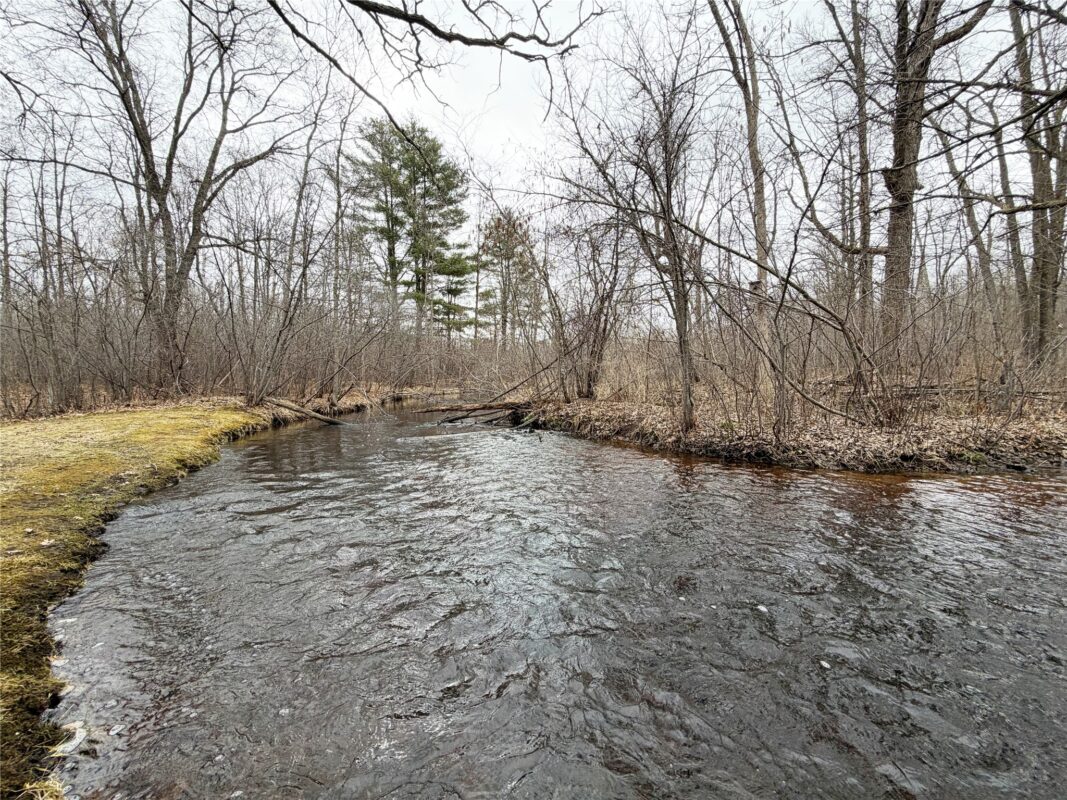 2867 28 1/8 Avenue Birchwood WI 54817 — photo 44