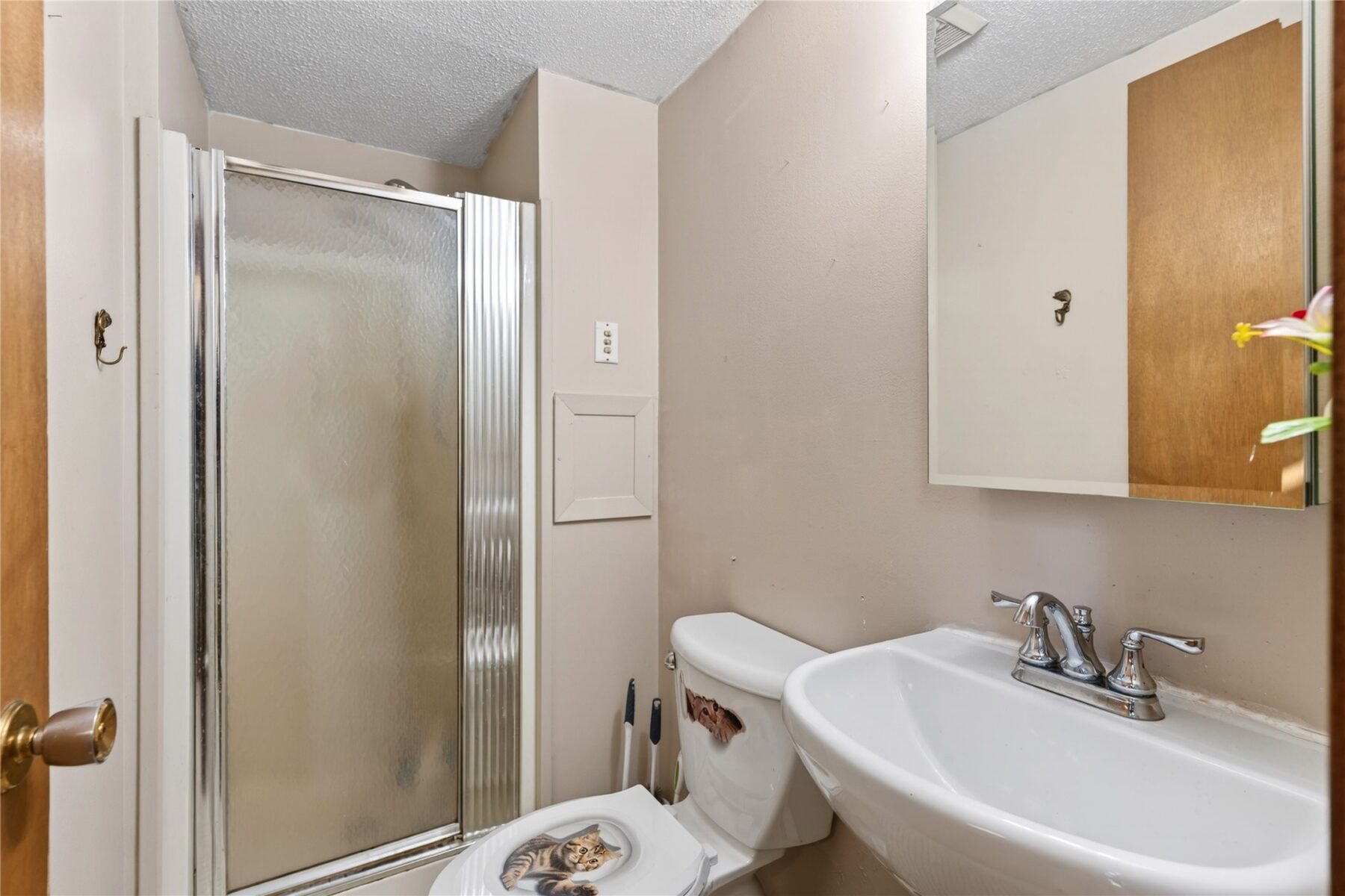 28941 Treasure Island Road, Danbury, WI — photo 23