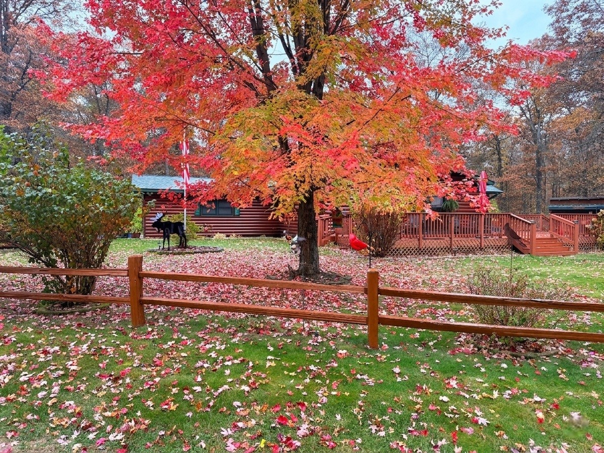 29174-French-Danbury-WI-54830-9