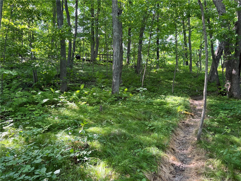 Residential at 2977 27 7/8 Street, Birchwood, WI 54817 — photo 20