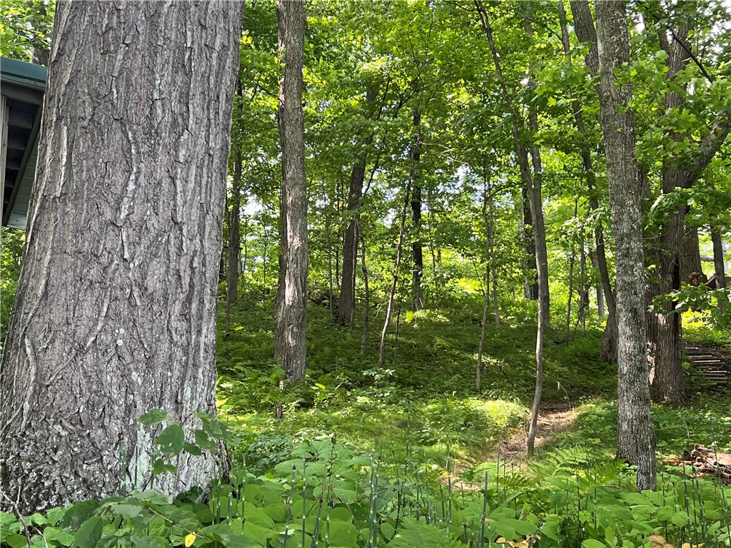 Residential at 2977 27 7/8 Street, Birchwood, WI 54817 — photo 21