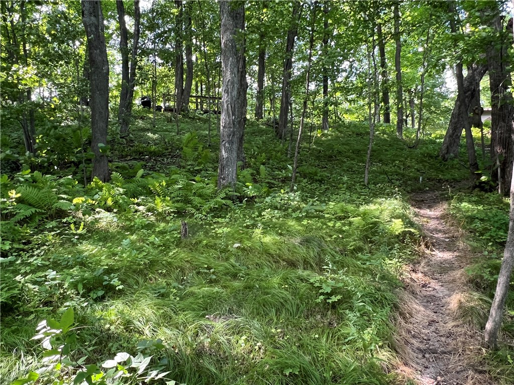 Residential at 2977 27 7/8 Street, Birchwood, WI 54817 — photo 22