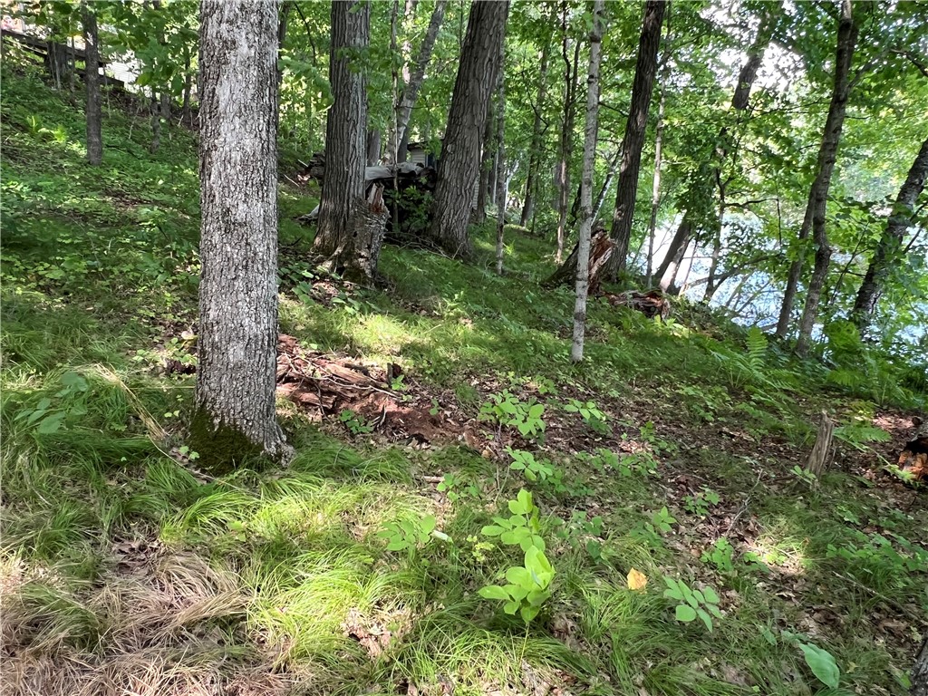 Residential at 2977 27 7/8 Street, Birchwood, WI 54817 — photo 23