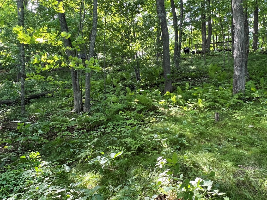 Residential at 2977 27 7/8 Street, Birchwood, WI 54817 — photo 24