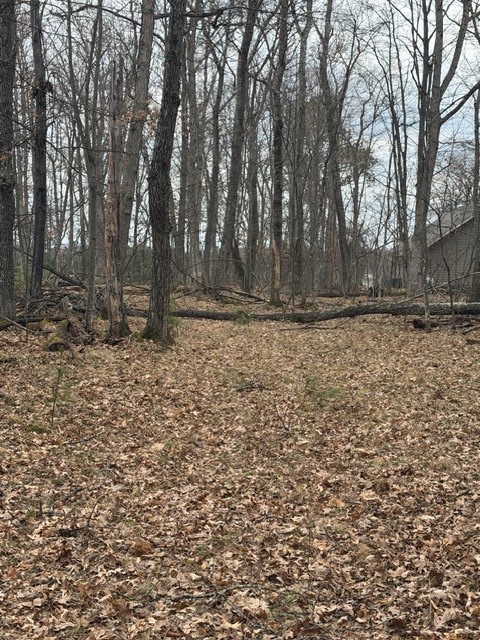 29936 Arbutus Drive Danbury WI 54830 — photo 3