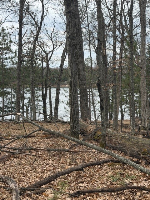 29936 Arbutus Drive Danbury WI 54830 — photo 4