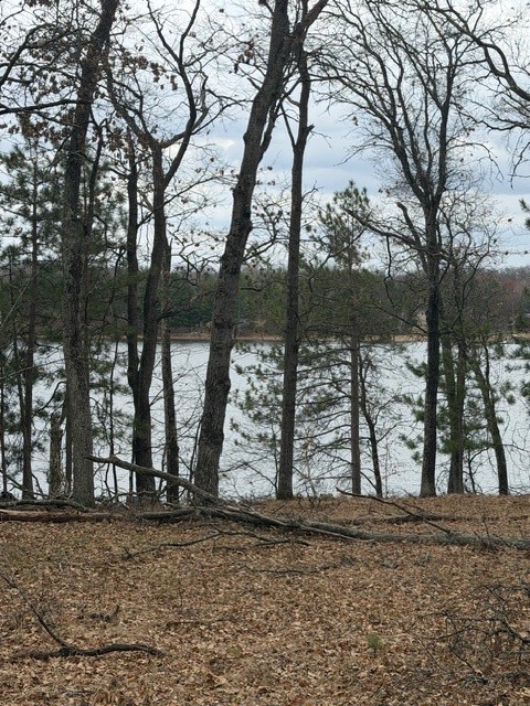 29936 Arbutus Drive Danbury WI 54830 — photo 5