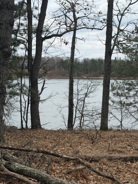 29936 Arbutus Drive Danbury WI 54830 — photo 6