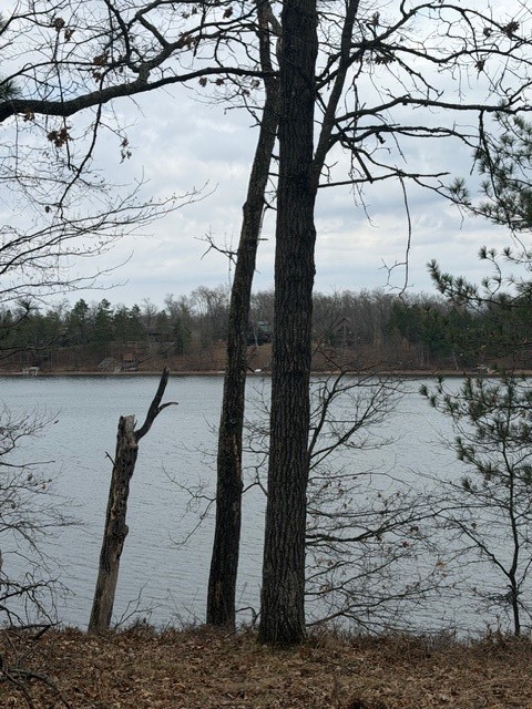 29936 Arbutus Drive Danbury WI 54830 — photo 7