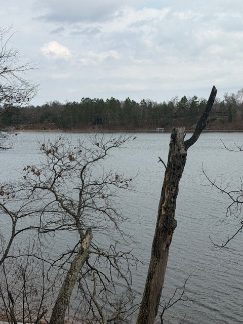 29936 Arbutus Drive Danbury WI 54830 — photo 8