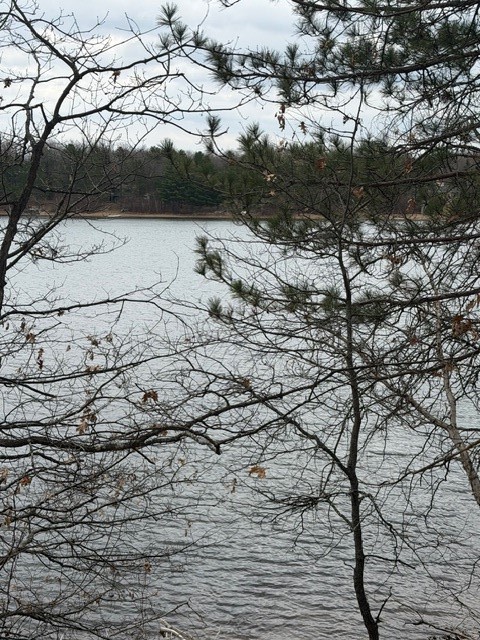 29936 Arbutus Drive Danbury WI 54830 — photo 9