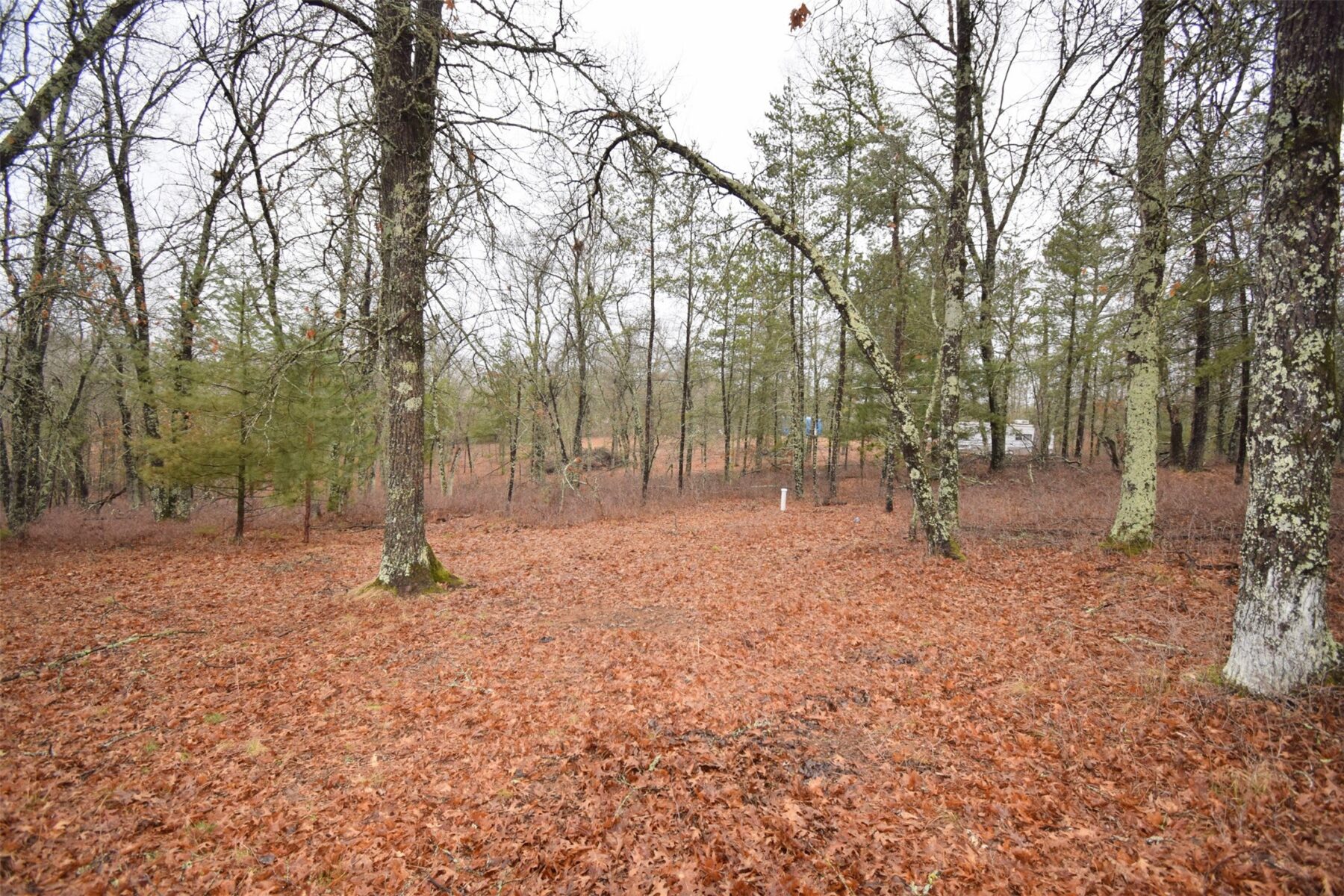 Residential at 30032 Crystal Lake Drive, Danbury, WI 54830 — photo 38