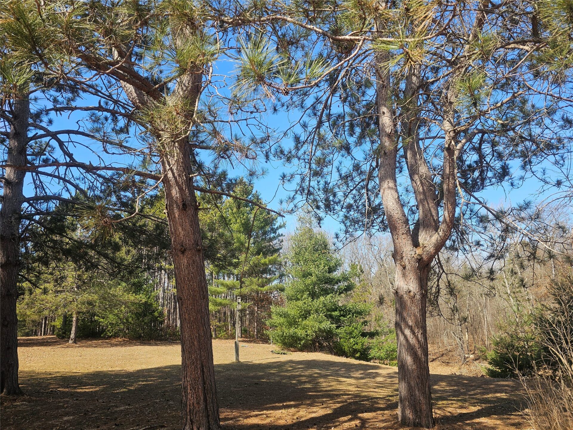 Residential at 30284 Nicaboyne Lake Road, Danbury, WI 54830 — photo 11