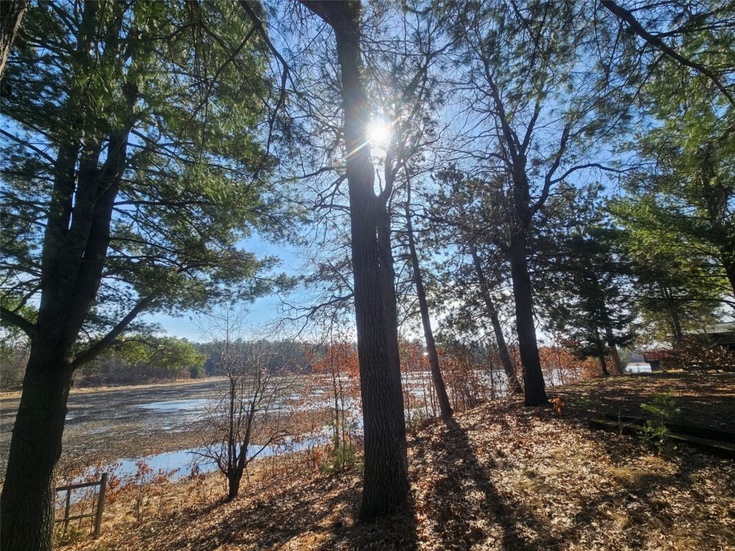 Residential at 30284 Nicaboyne Lake Road, Danbury, WI 54830 — photo 10