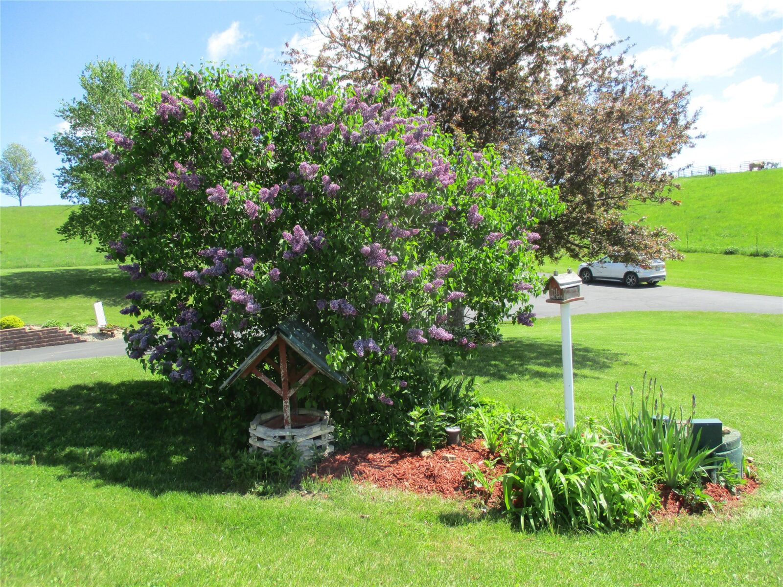 Residential at 30694 County Highway, Elroy, WI 53929 — photo 2