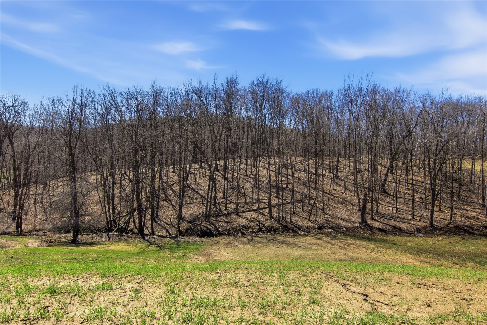 Residential at 3159 200th Avenue, Glenwood City, WI 54013 — photo 42