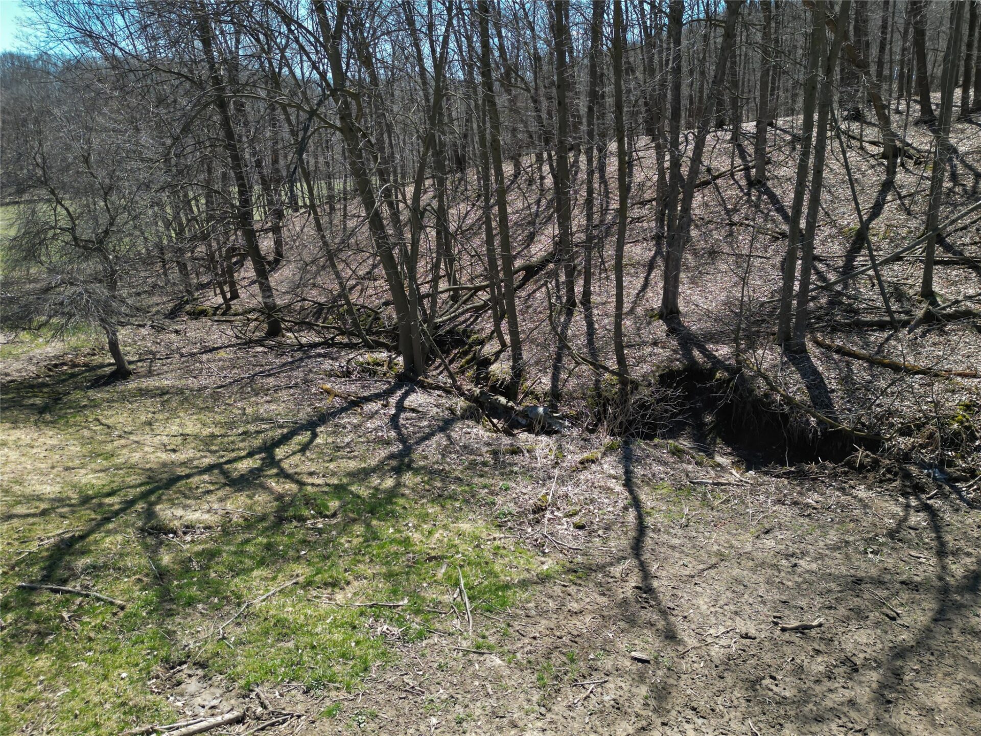 Residential at 3159 200th Avenue, Glenwood City, WI 54013 — photo 43