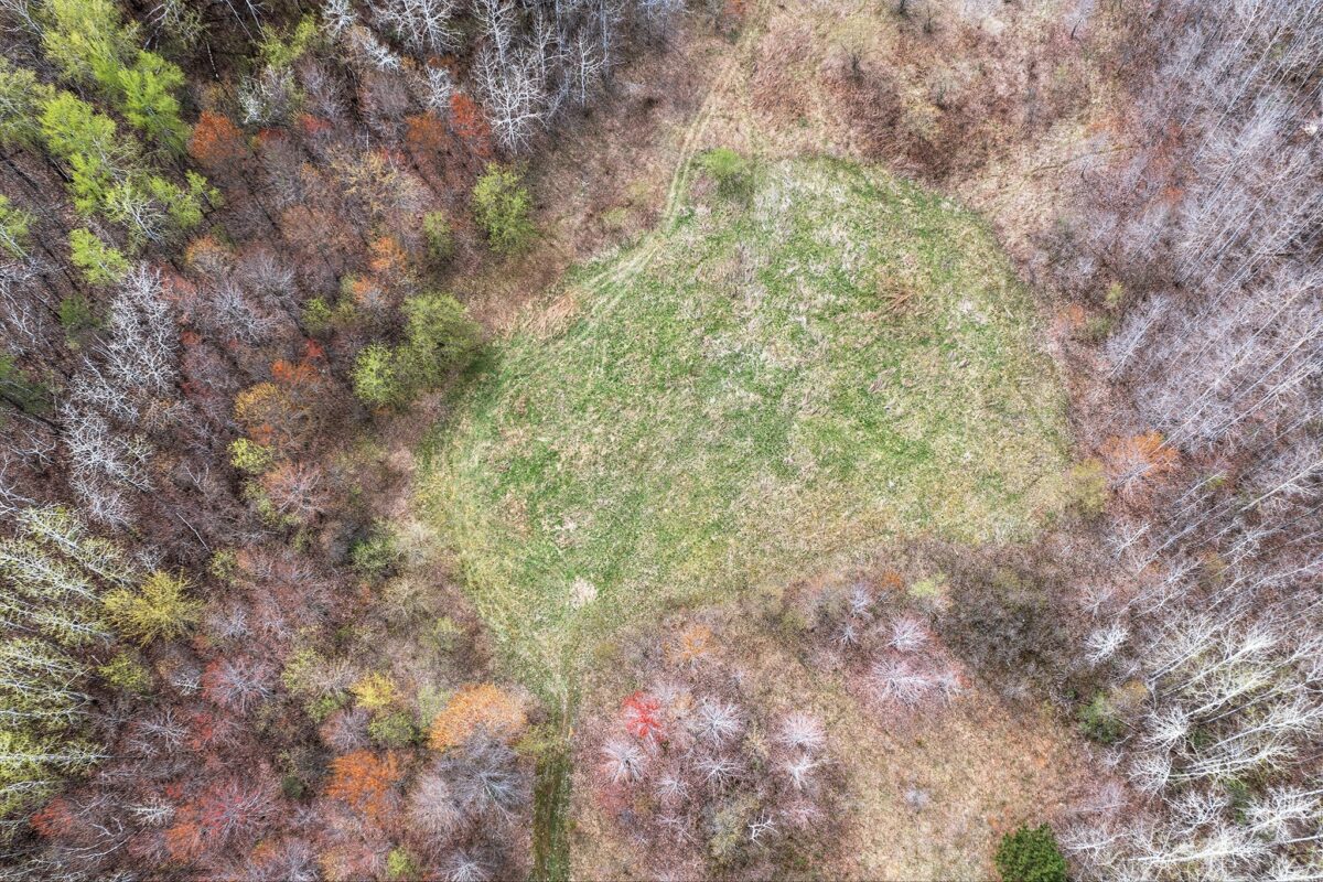 31.69 Acres 80th Avenue, Colfax, WI — photo 13