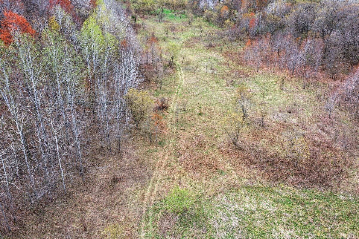31.69 Acres 80th Avenue, Colfax, WI — photo 14