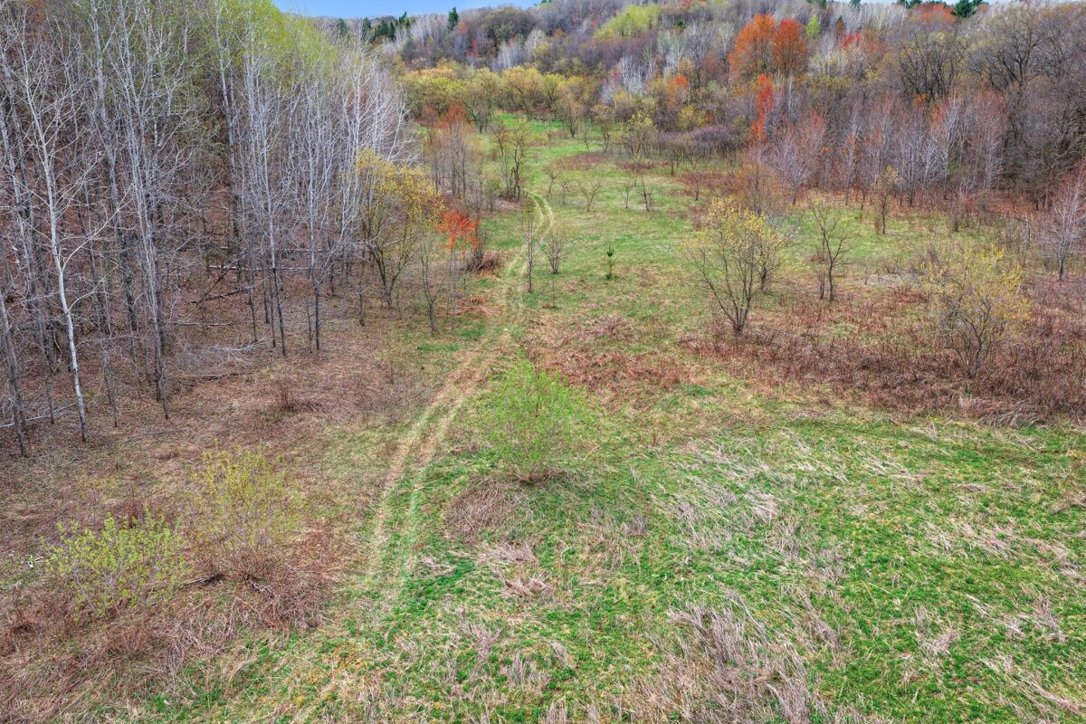 31.69 Acres 80th Avenue, Colfax, WI — photo 15