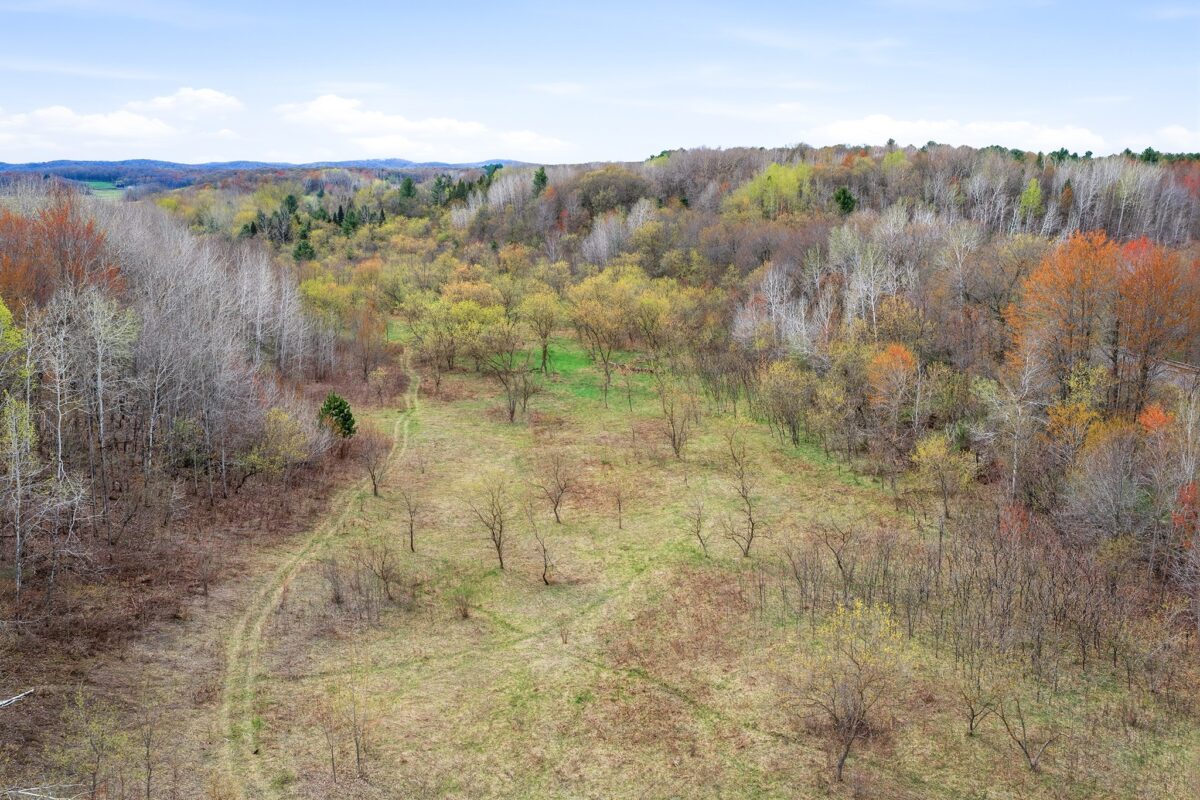 31.69 Acres 80th Avenue, Colfax, WI — photo 16