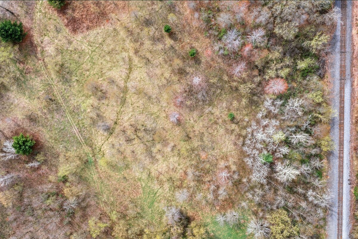 31.69 Acres 80th Avenue, Colfax, WI — photo 17