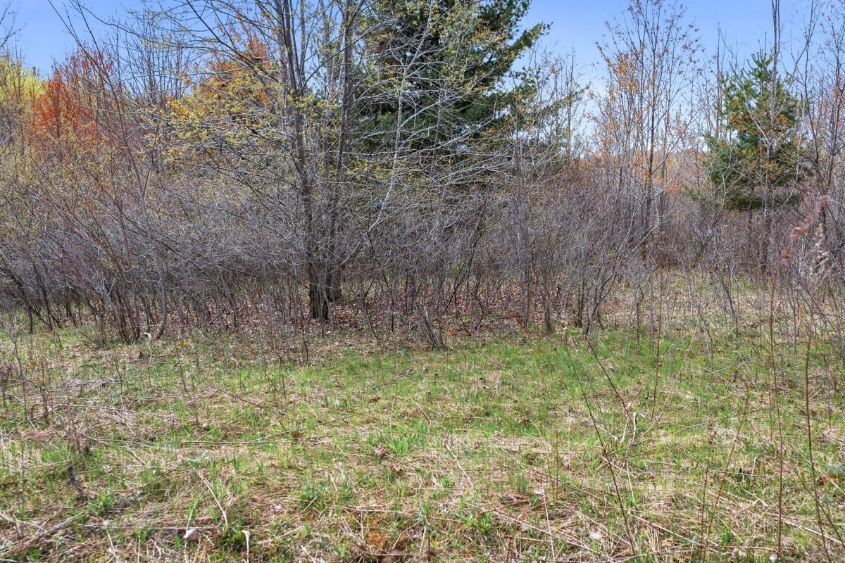 31.69 Acres 80th Avenue, Colfax, WI — photo 20