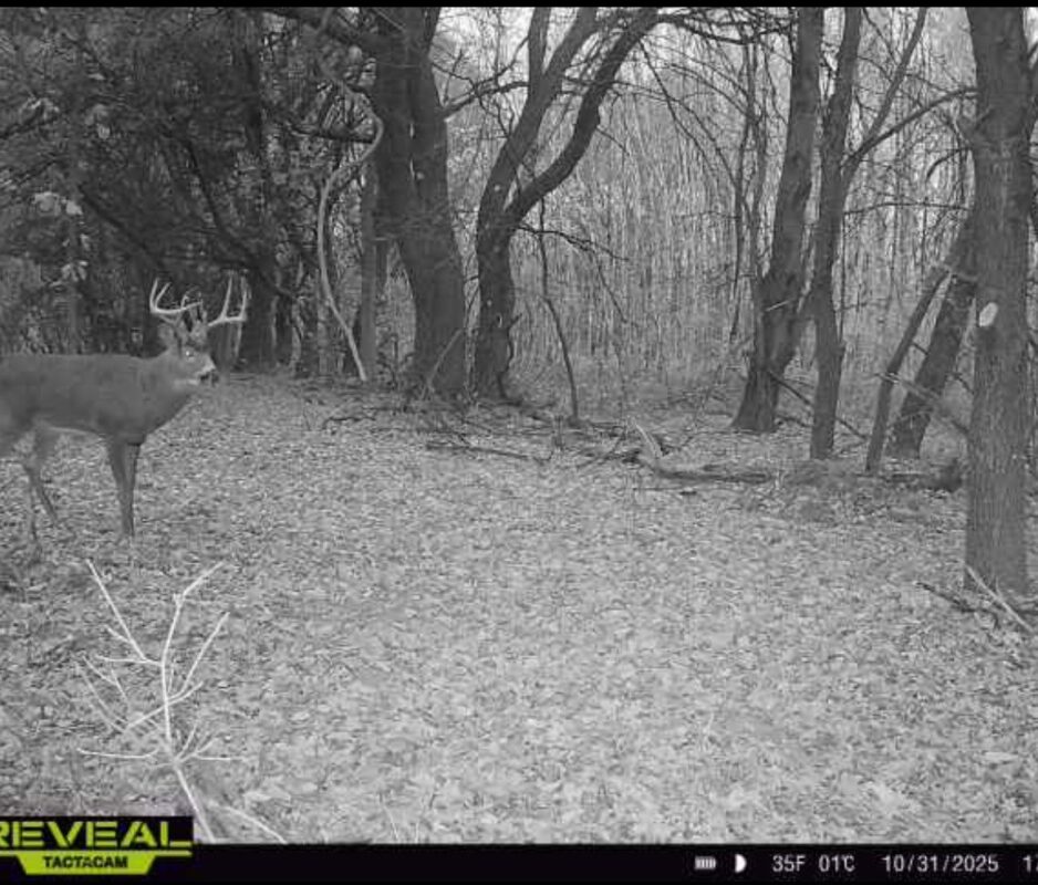 31.69 Acres 80th Avenue, Colfax, WI — photo 21