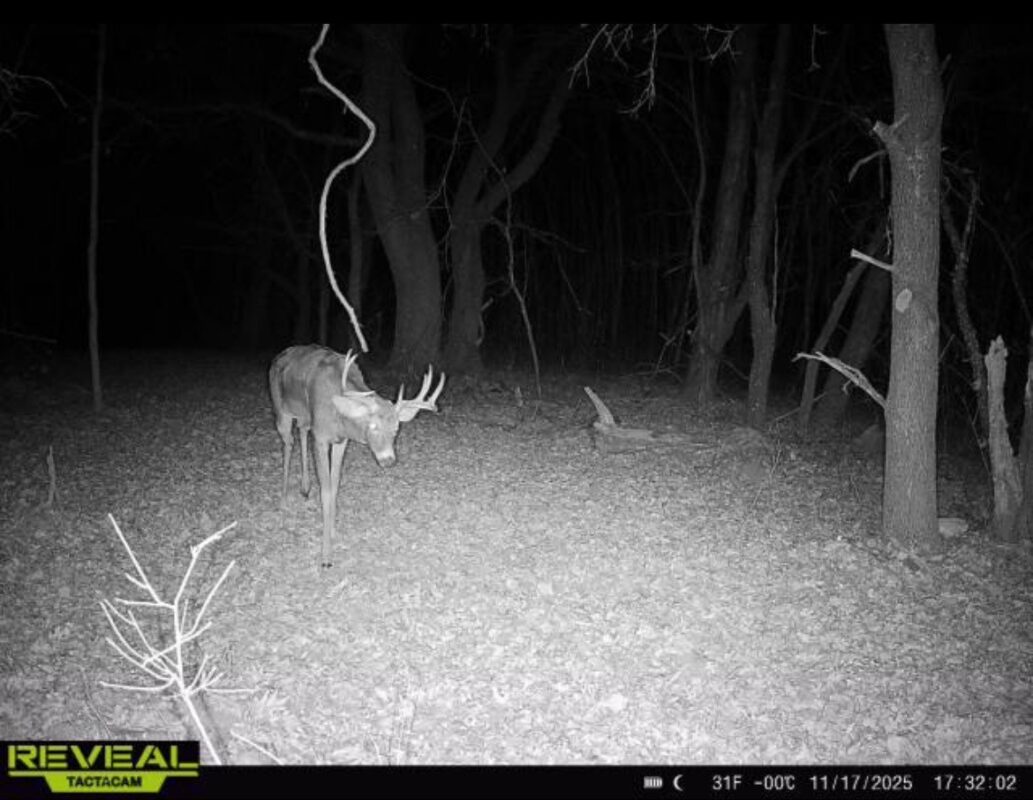 31.69 Acres 80th Avenue, Colfax, WI — photo 22