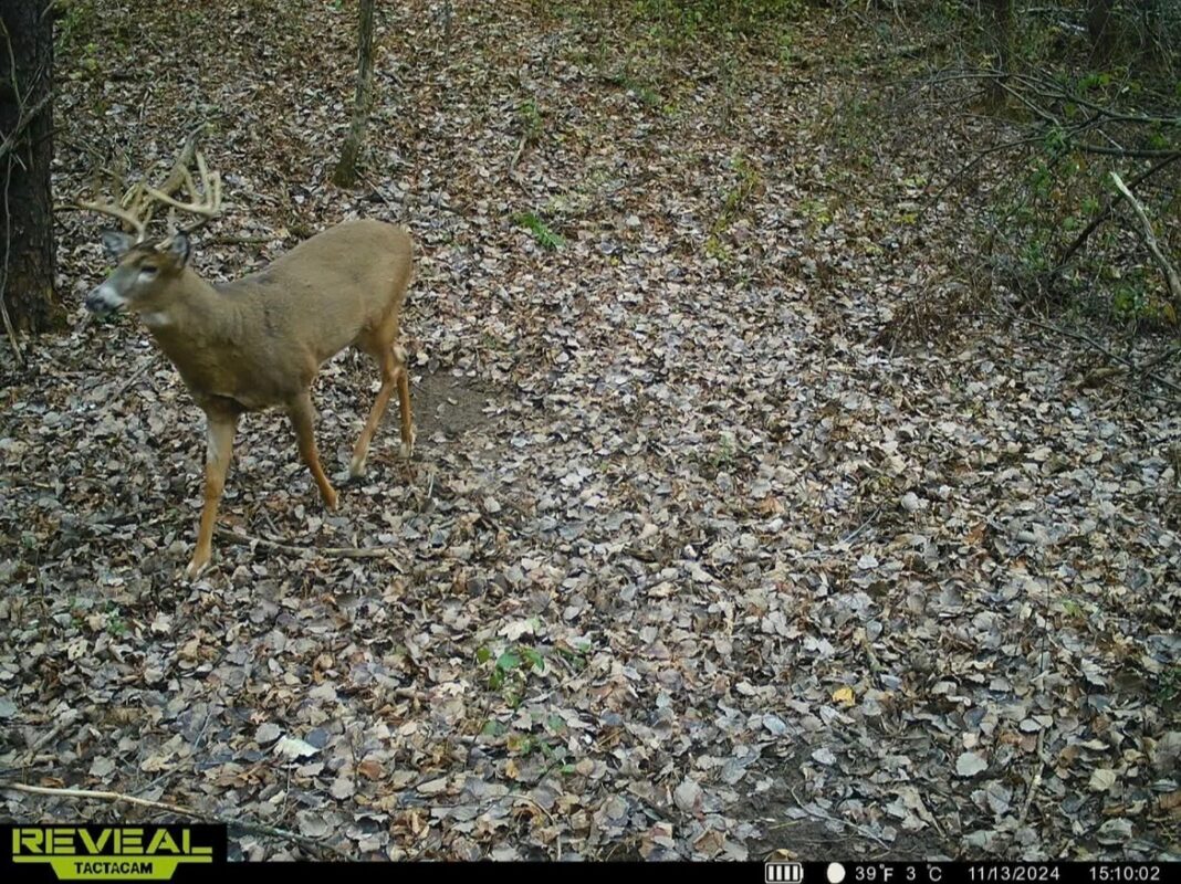 31.69 Acres 80th Avenue, Colfax, WI — photo 25