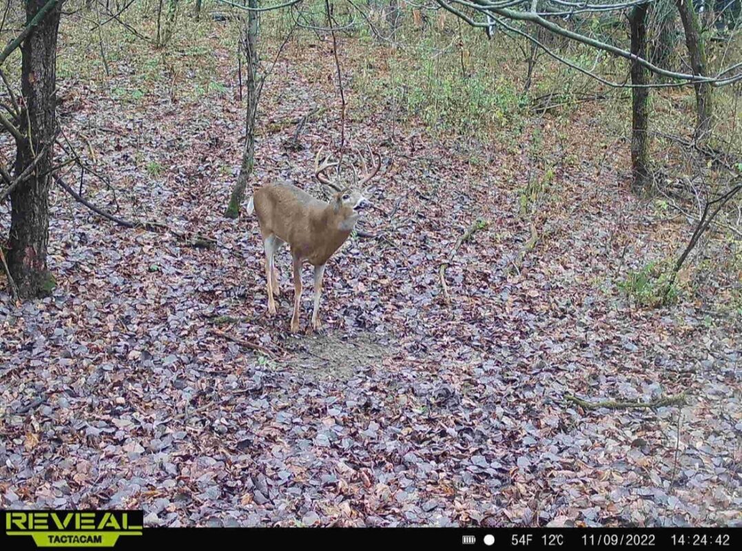 31.69 Acres 80th Avenue, Colfax, WI — photo 27