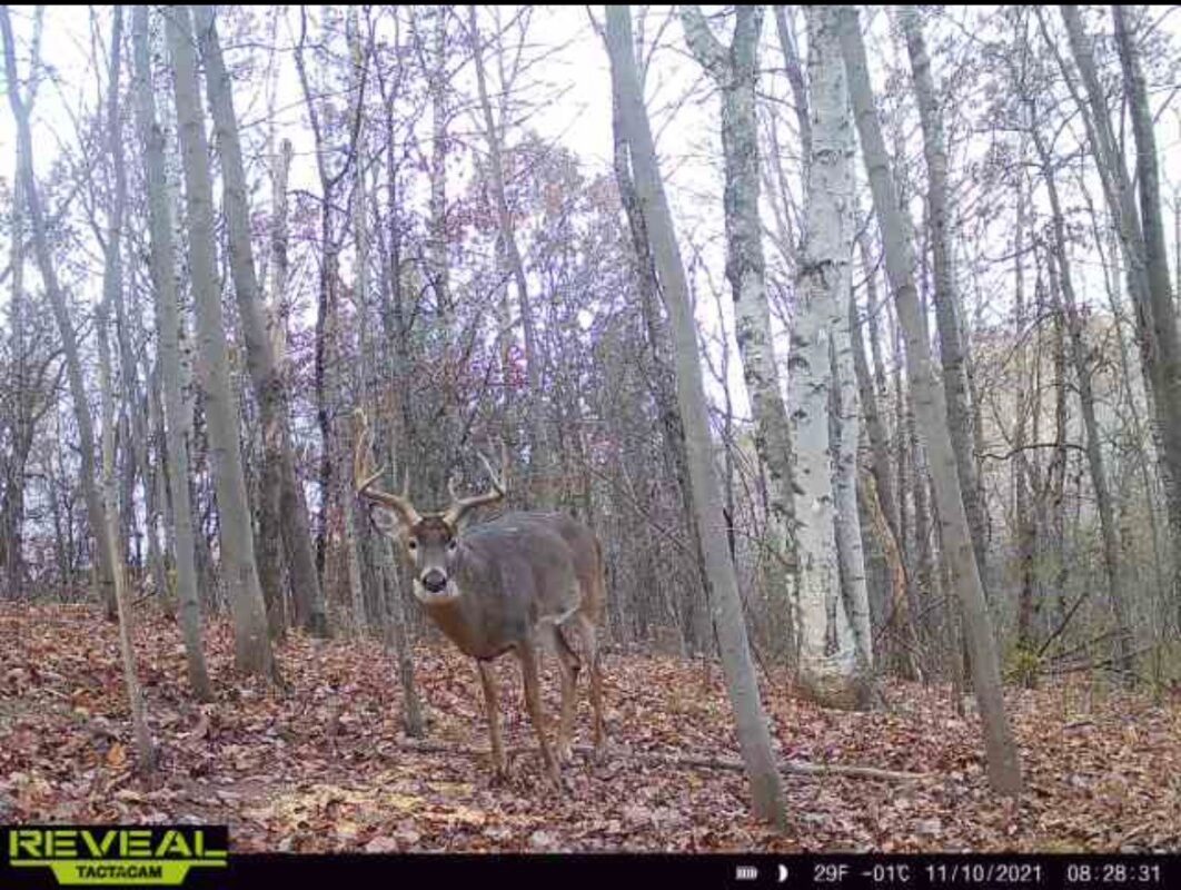 31.69 Acres 80th Avenue, Colfax, WI — photo 29