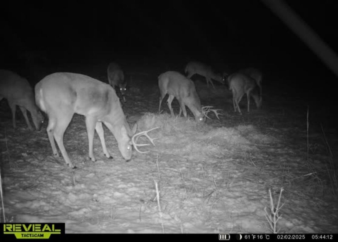 31.69 Acres 80th Avenue, Colfax, WI — photo 30