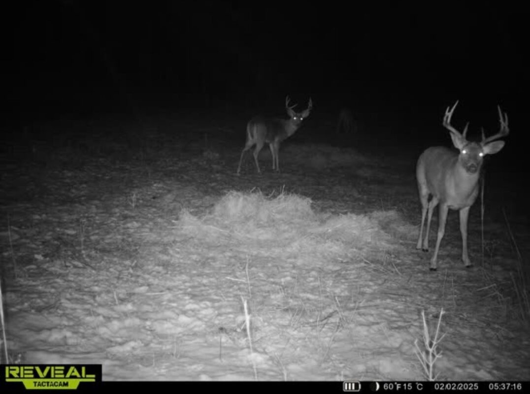 31.69 Acres 80th Avenue, Colfax, WI — photo 31