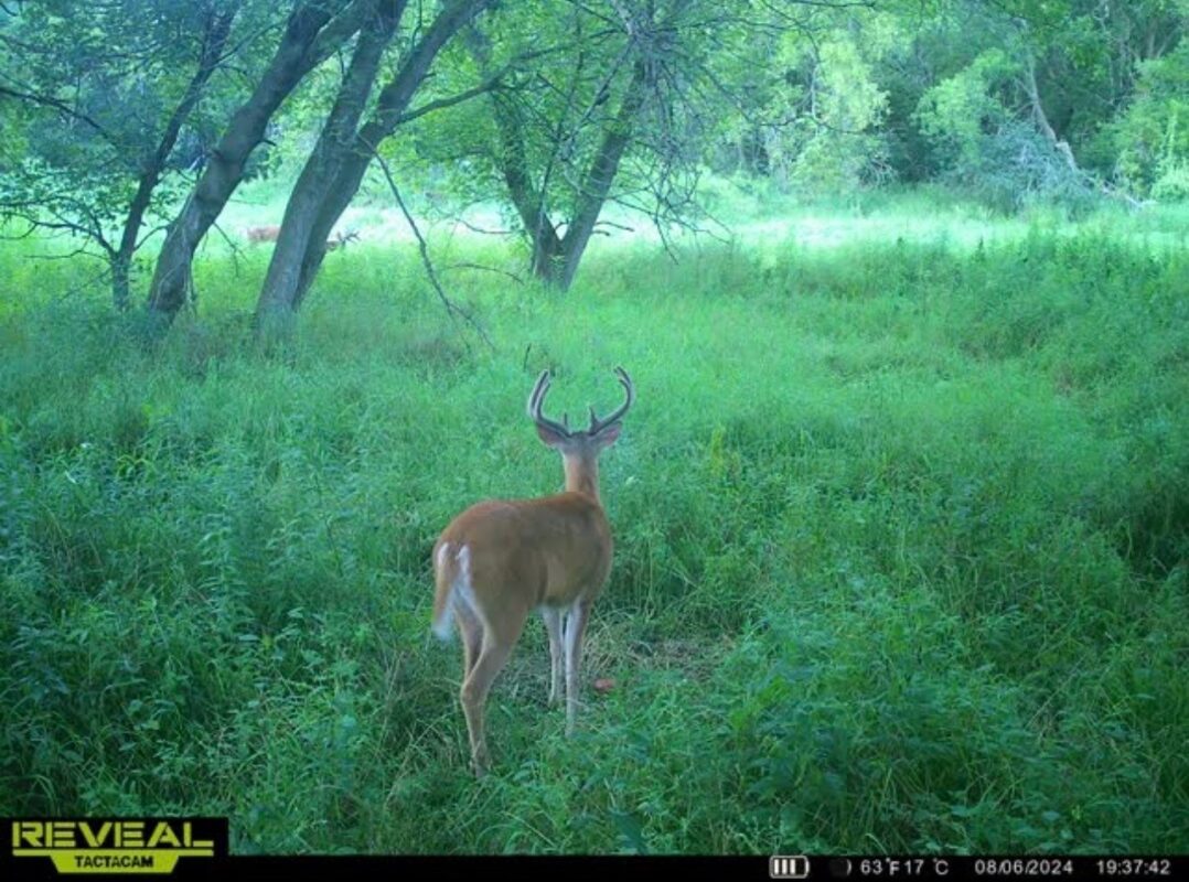 31.69 Acres 80th Avenue, Colfax, WI — photo 34