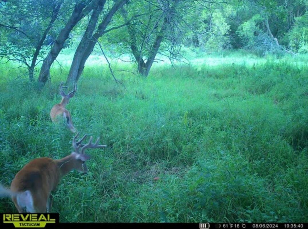 31.69 Acres 80th Avenue, Colfax, WI — photo 35