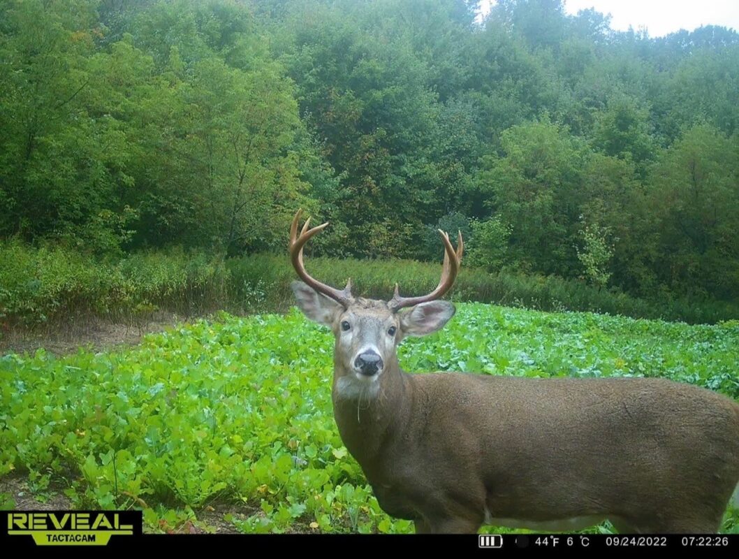 31.69 Acres 80th Avenue, Colfax, WI — photo 37