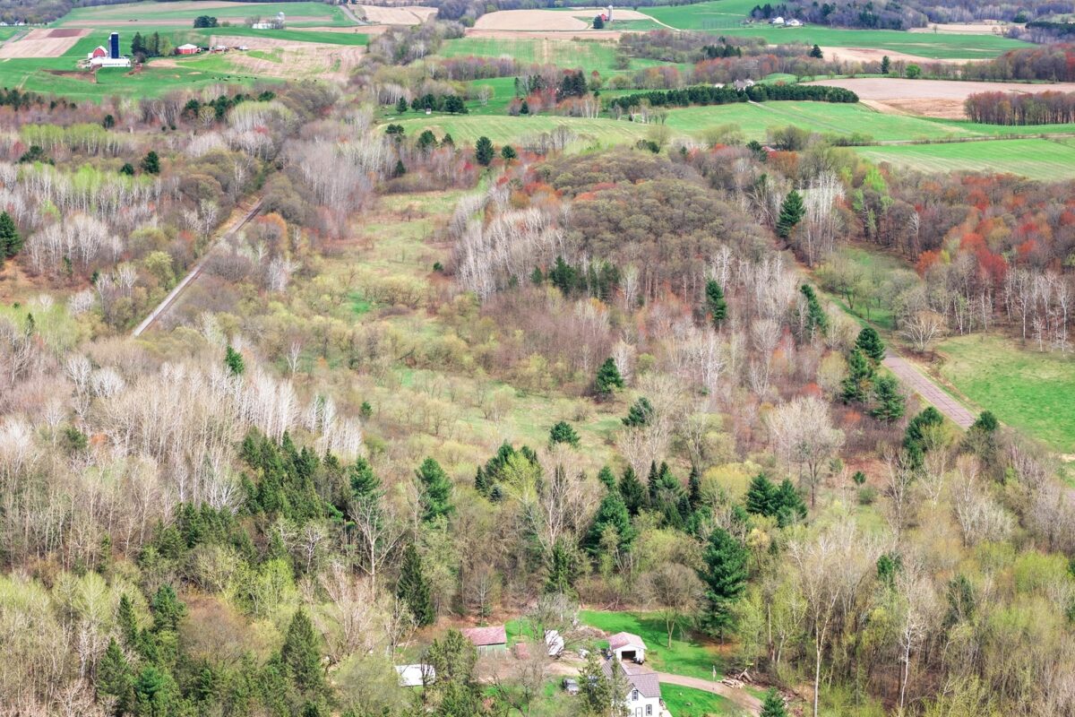 31.69 Acres 80th Avenue, Colfax, WI — photo 8