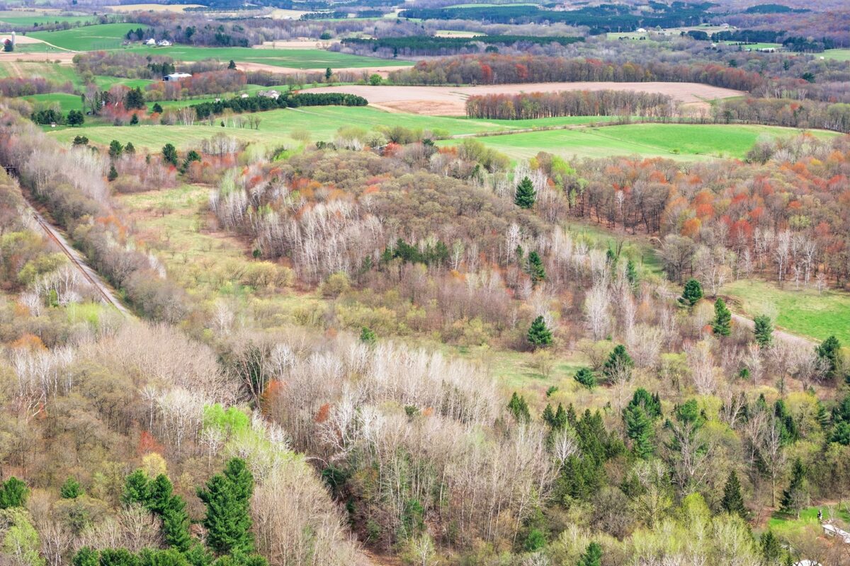 31.69 Acres 80th Avenue, Colfax, WI — photo 9